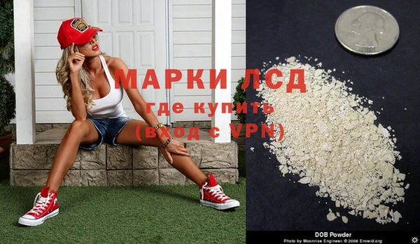 ПСИЛОЦИБИНОВЫЕ ГРИБЫ Коряжма
