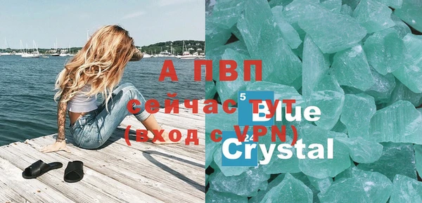 ПСИЛОЦИБИНОВЫЕ ГРИБЫ Коряжма
