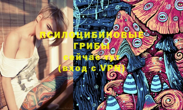 ПСИЛОЦИБИНОВЫЕ ГРИБЫ Коряжма