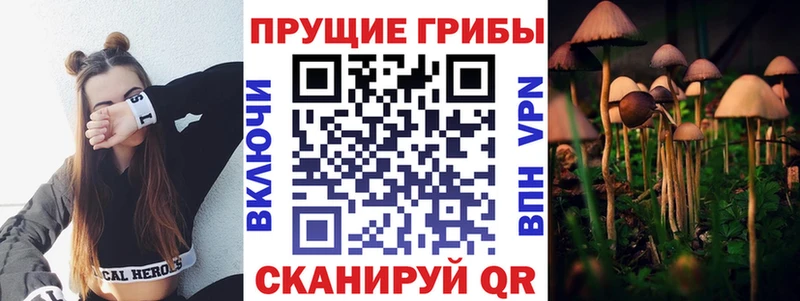 Галлюциногенные грибы Psilocybine cubensis  продажа наркотиков  Нефтекамск 