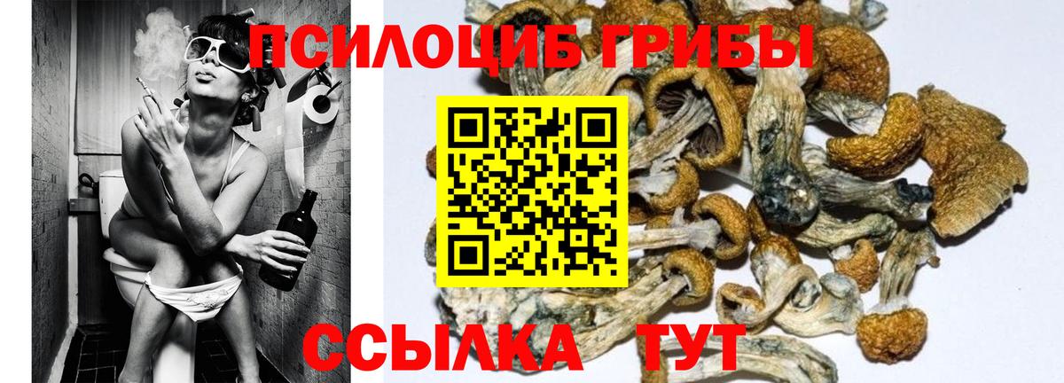 Галлюциногенные грибы Cubensis Нефтекамск