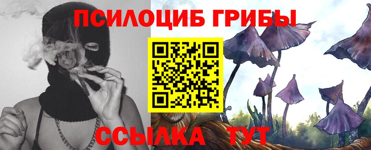 Нефтекамск  Галлюциногенные грибы Psilocybine cubensis  Псилоцибиновые грибы Cubensis  Вход с VPN 